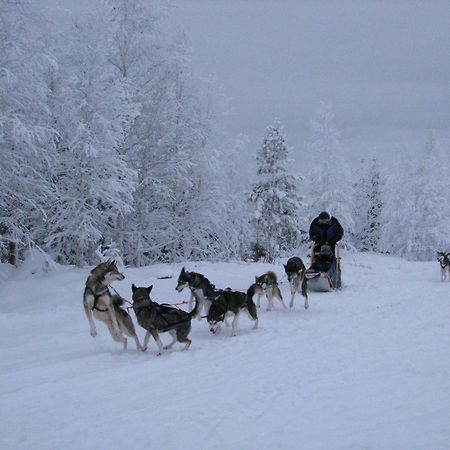 Motel Willis West Ruka Bagian luar foto