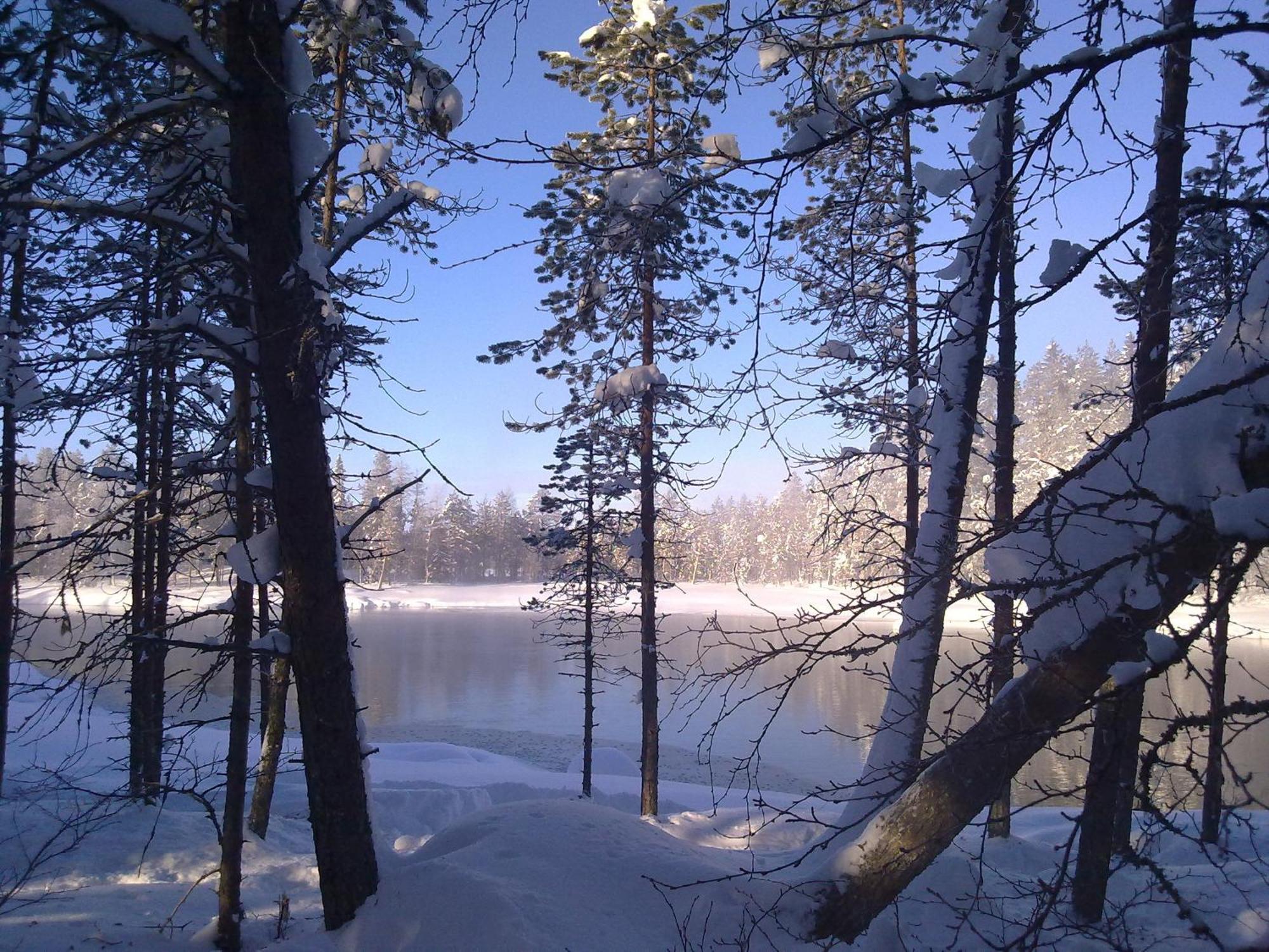 Motel Willis West Ruka Bagian luar foto