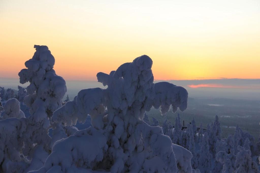 Motel Willis West Ruka Bagian luar foto
